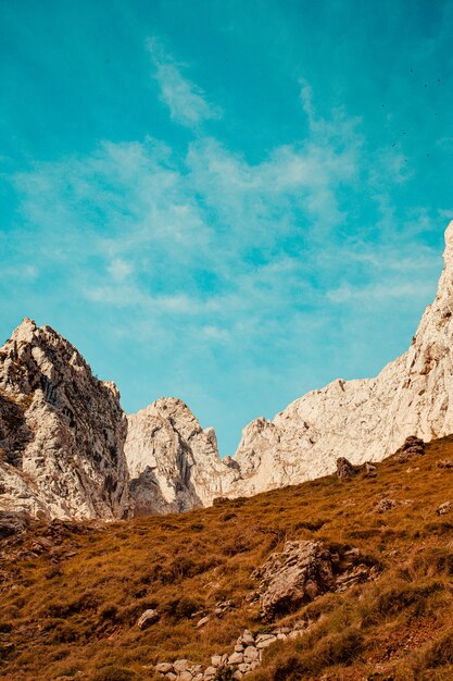 Пейзажный снимок заснеженного горного хребта