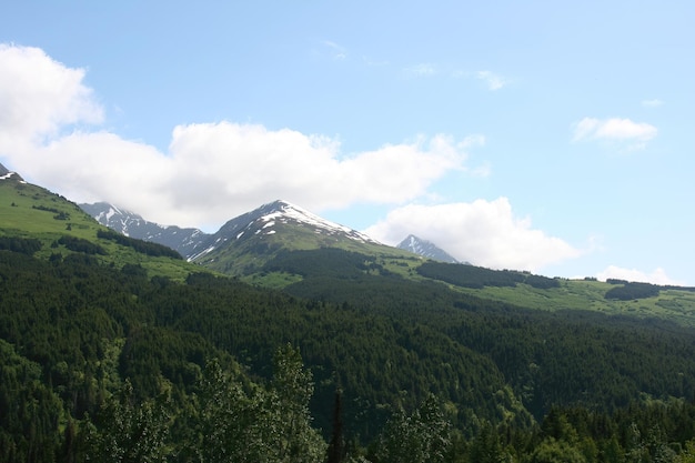 Landscapenature and glaciers in Alaska