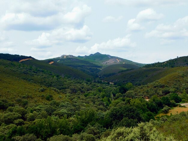 landscapes in Aliste region in Sierra de la Culebra with Pea Mira background