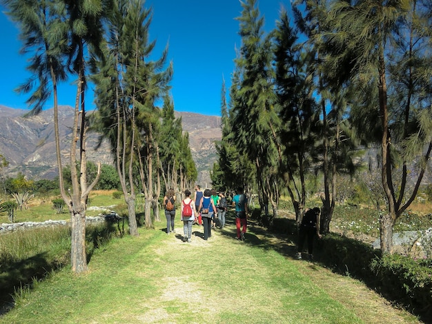 Paesaggi di campo santo in yungay huaraz perù campo santo