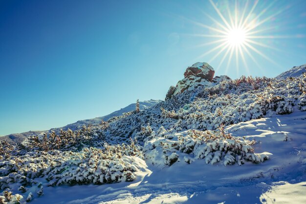 Landscapes of the Carpathian Mountains, covered with large stone ledges in Ukraine, near the village of Dzembronya