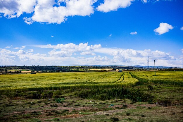 Landscapes Highway Roads Ntulele Nairagie Enkare Great Rift Valley Narok County Kenya East Africa