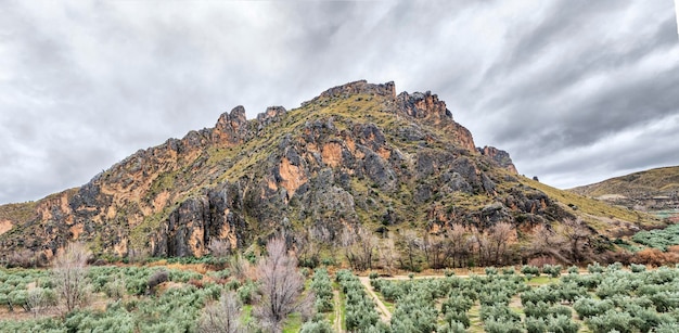 Landscapes of the interior of Granada  Andalusia  Spain