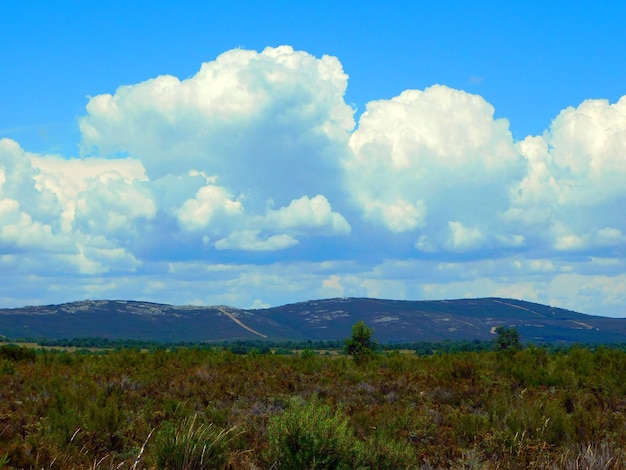 landscapes of La Carballeda Zamora Spain