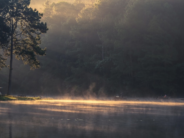 ウェールズの朝の貯水池と霧の風景