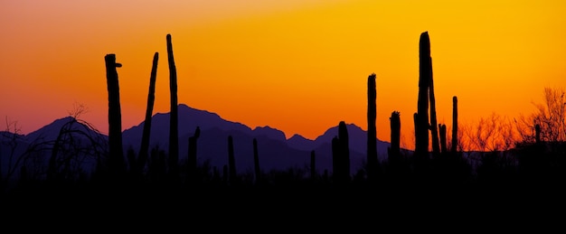 Landscapes over suburb of Tucson.