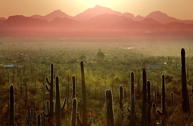 Foto paesaggi sul sobborgo di tucson.