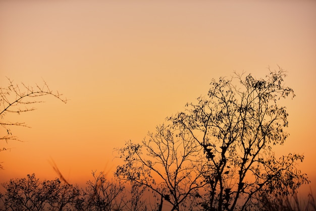 Landscapes of sunset on the beach with colorful sky