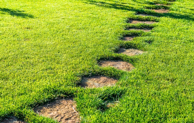 Landscaping in the garden