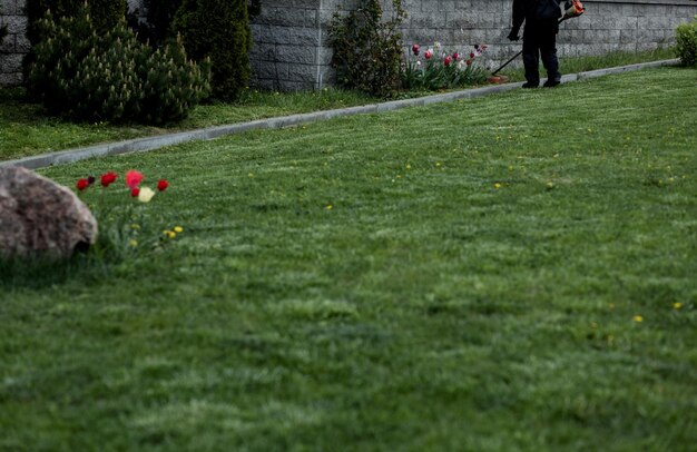 Landscaping lawn mowing