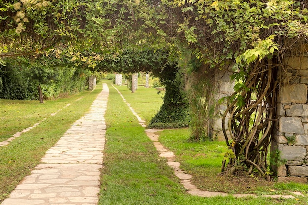 Landscaping in the park summer view of the walking paths and plants Greece