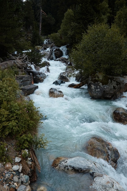 Landschap, bergrivier en waterval, stormachtig water dat tegen rotsen slaat, bos en natuur in de bergen