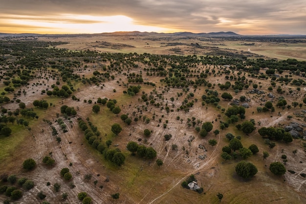 Landschap bij zonsopgang in Extremadura Spanje