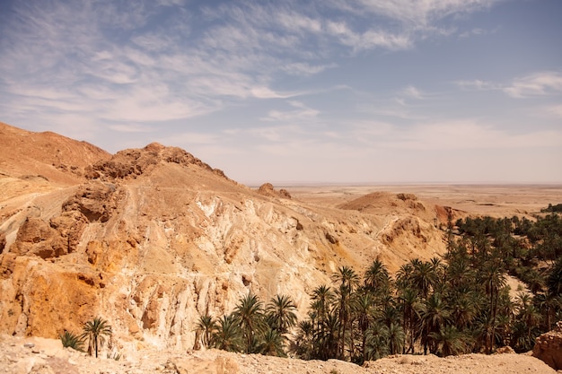 Foto landschap chebika oase in de sahara woestijn.