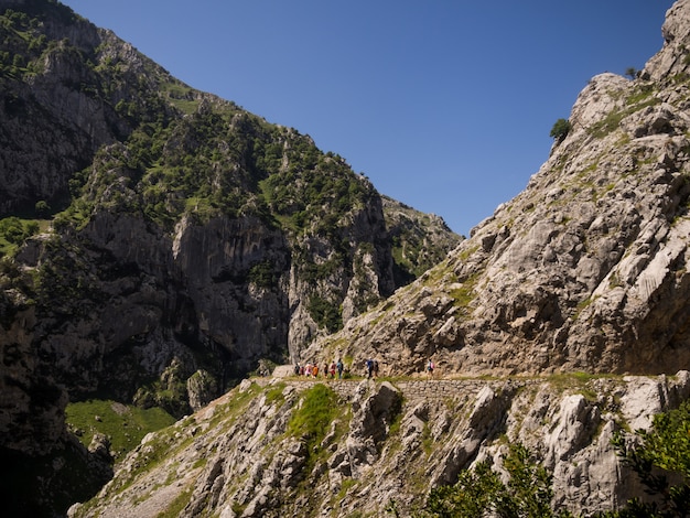 Foto landschap dat van sleep de bergen kruist