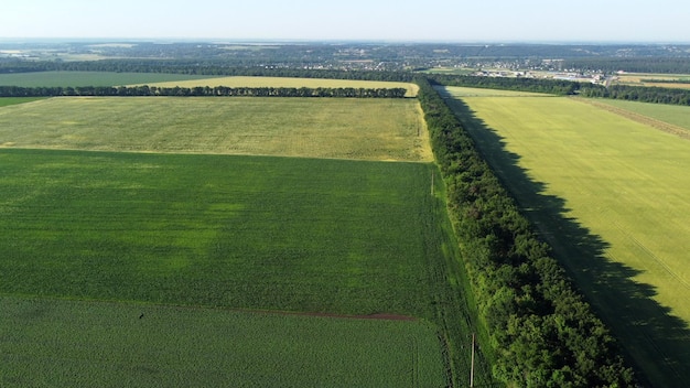 Landschap groene landbouwvelden ingezaaid met verschillende landbouwgewassen