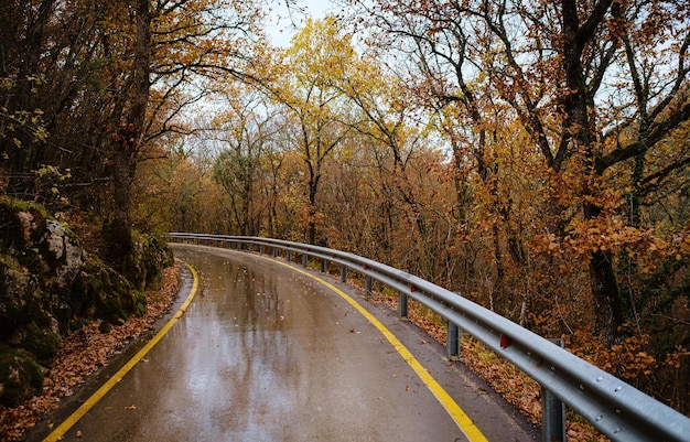 Landschap herfst seizoen in regenachtige dag Road Travel en gele bladeren