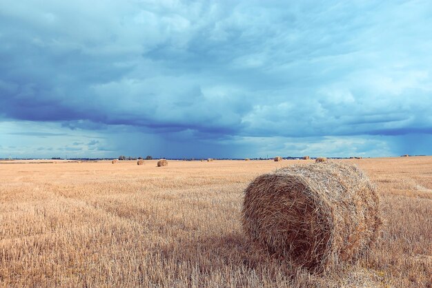 landschap hooibakken in een veld van de herfst dorp