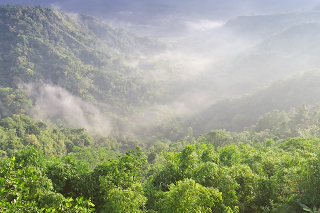 Landschap in Batur-vulkaan