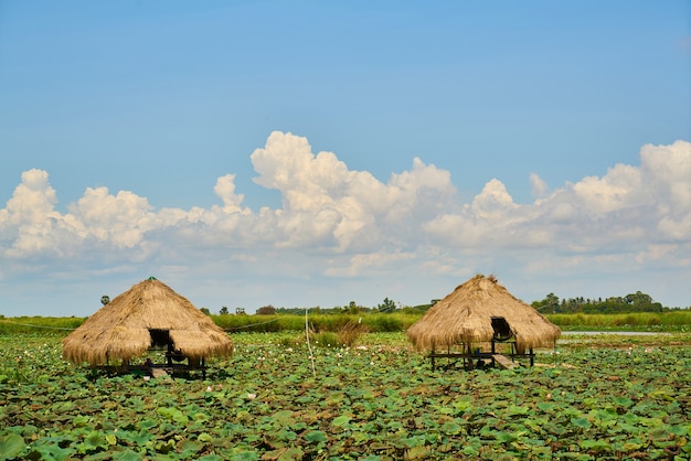 Landschap in Cambodja