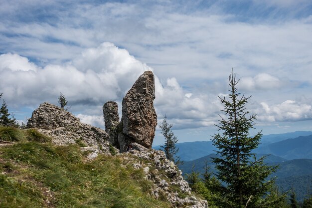 Landschap in Ceahlau-bergen in Roemenië.