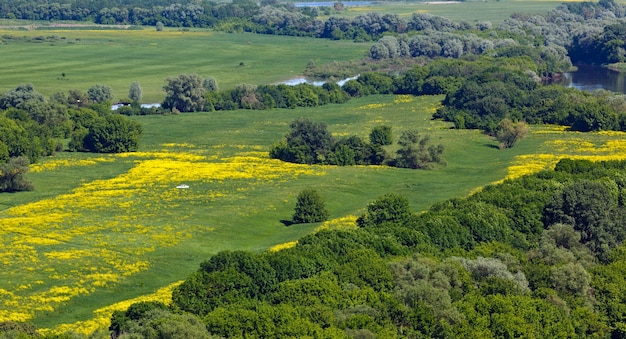 Landschap in de vallei van de rivier de Don in centraal Rusland