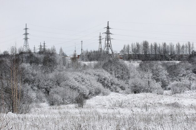 Landschap in de winter bewolkte dag van besneeuwde velden en bossen