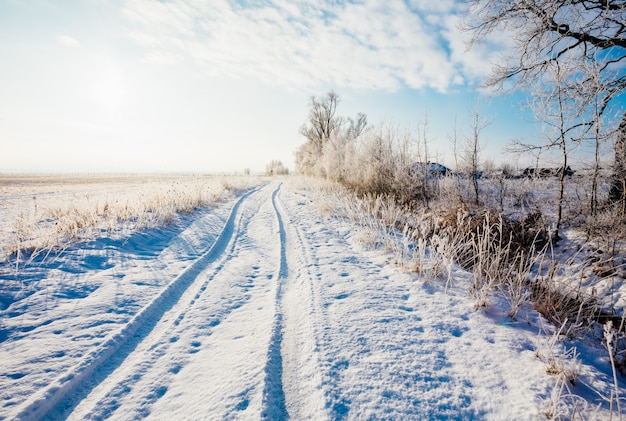 Landschap in de winter op een gebied met een weg in de sneeuw