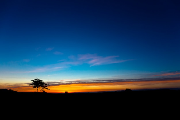 Landschap in de zonsopgang