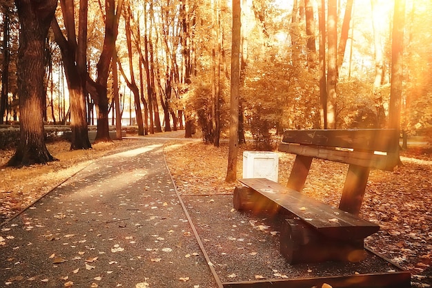 landschap in herfstparkbank / mooie tuinbank, concept van rust, niemand in herfstpark, landschapsachtergrond, herfst