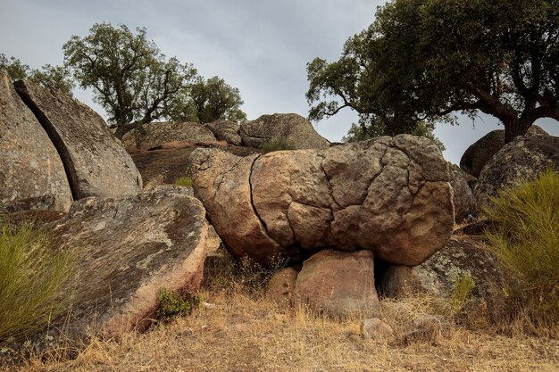 Landschap in het natuurgebied van Valcorchero bij Plasencia Extremadura Spanje