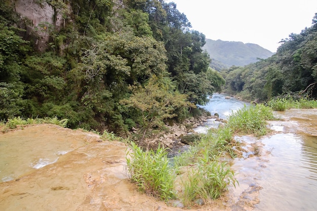 Landschap in Semuc Champey, Lanquin, Guatemala, Midden-Amerika