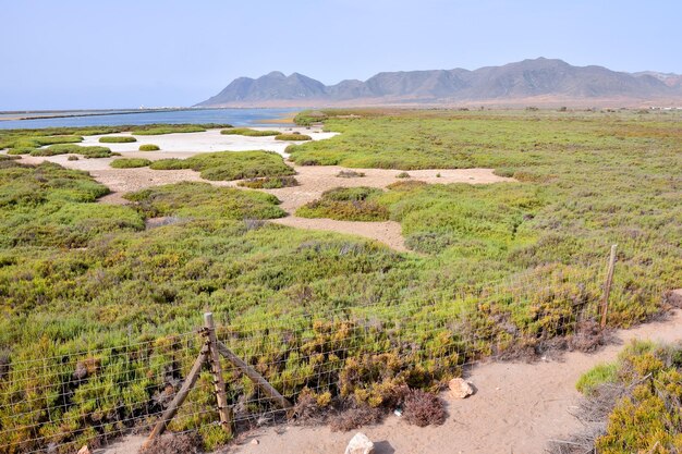 Landschap in Zuid-Spanje