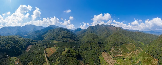 Landschap luchtfoto bergketen en agrarische mandarijn landbouwgrond in de vallei in Chiangmai Thailand