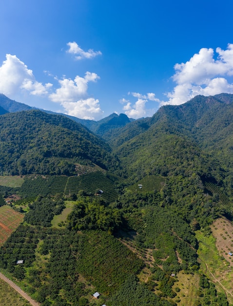 Landschap luchtfoto bergketen en agrarische mandarijn landbouwgrond in de vallei in Chiangmai Thailand