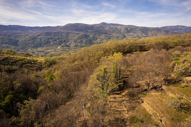 Landschap met bloeiende kersenbomen in de Valle del Jerte Spanje