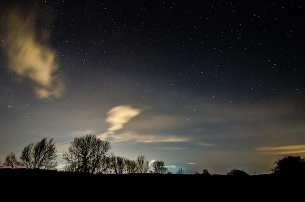 Landschap met bomen en sterren