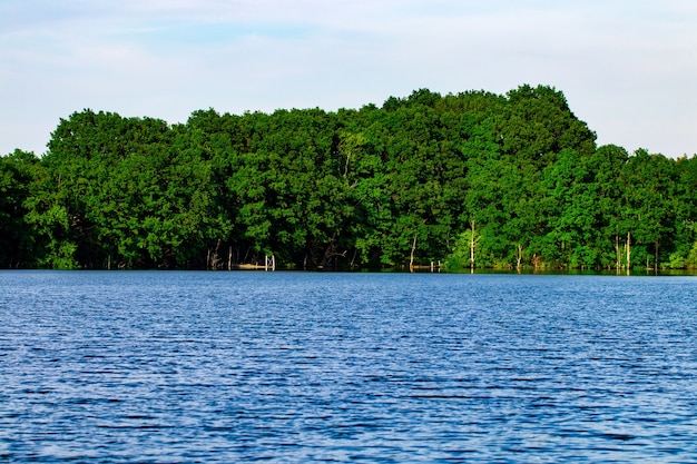 Foto landschap met, bos en een rivier ervoor. mooi landschap.