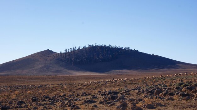 Foto landschap met een bergketen op de achtergrond