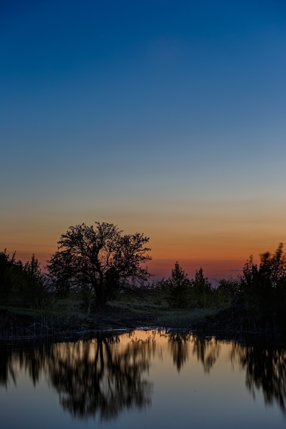 Landschap met een boom op het meer na zonsondergang.