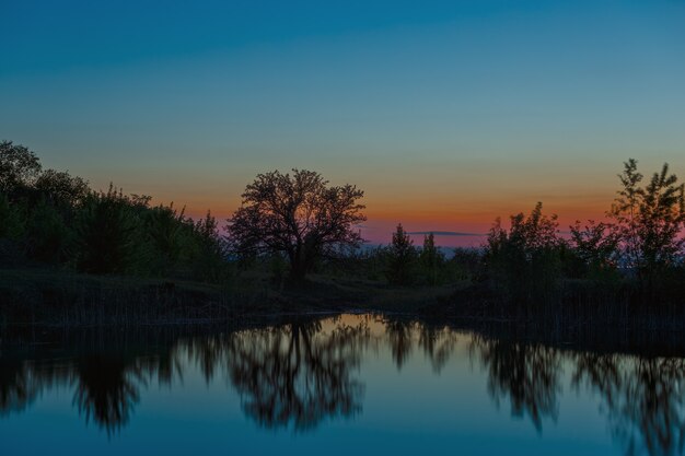 Landschap met een boom op het meer na zonsondergang.