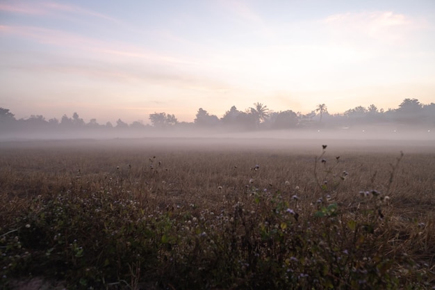 Foto landschap met een mistige ochtend bij zonsopgang rustige natuurkunstfotografie