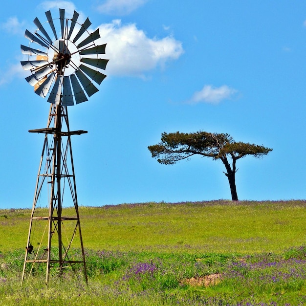 Landschap met een waterpomp van een windmolen op een boerderij in Swartland in Zuid-Afrika