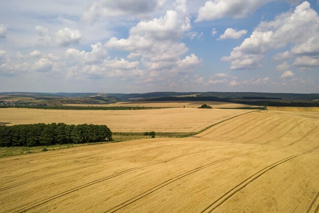 landschap met gele patched landbouwvelden