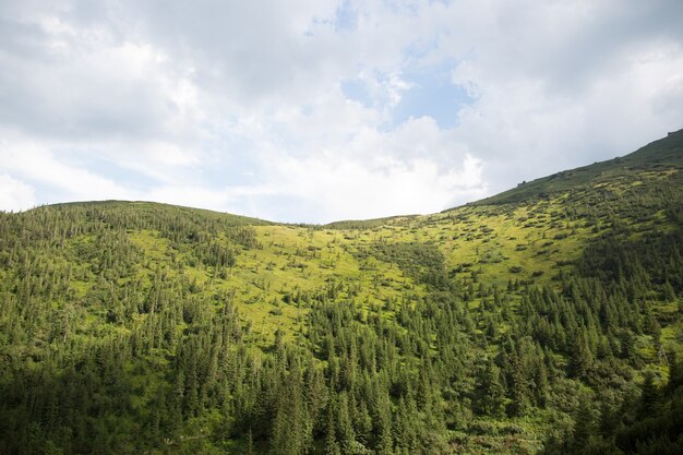 Landschap met groene bergen en bos en blauwe hemel