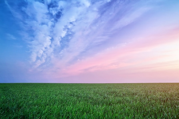 Landschap met groene weide en prachtige lucht