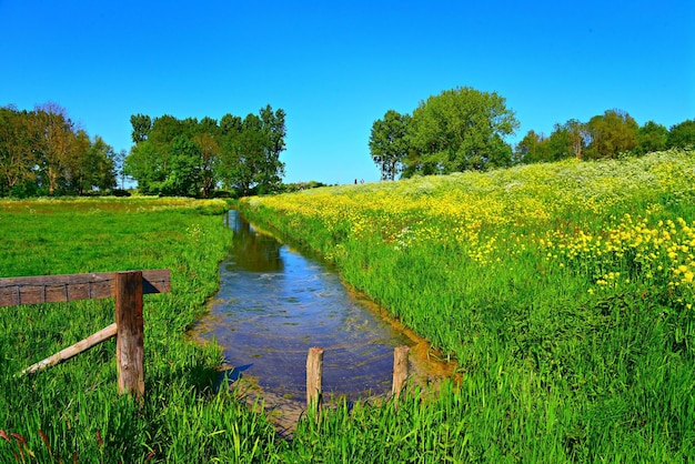 landschap met hek