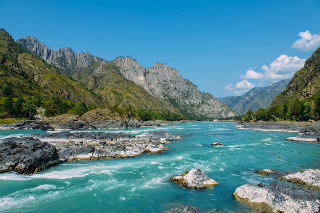 Landschap met heldere turquoise bergrivier Katun en groene rotsen