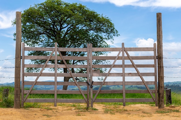 Landschap met houten poort en boom