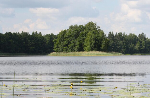 Landschap met meer in Letland, Oost-Europa